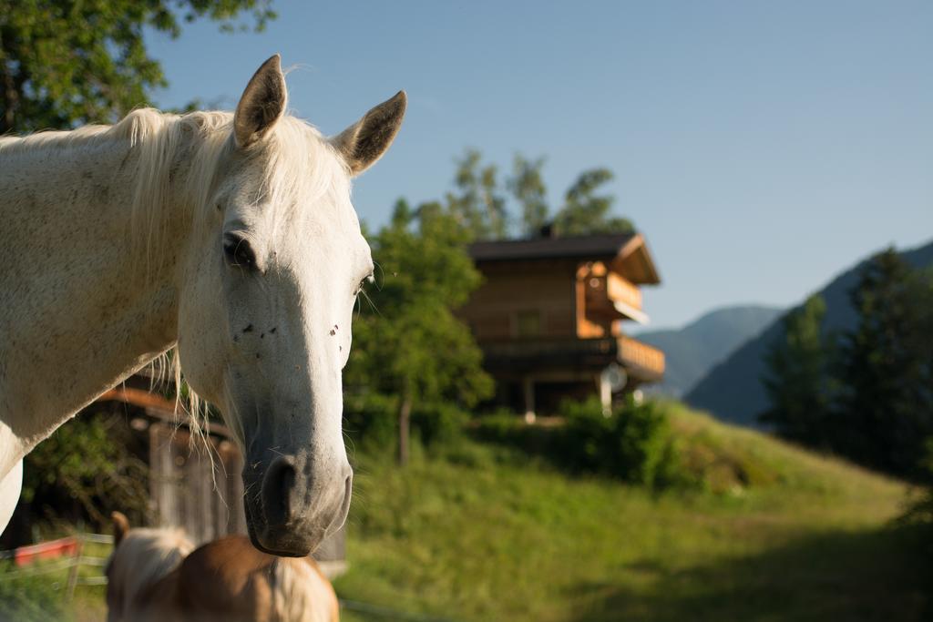 Ferienhaus Oetztal 호텔 소우텐즈 외부 사진