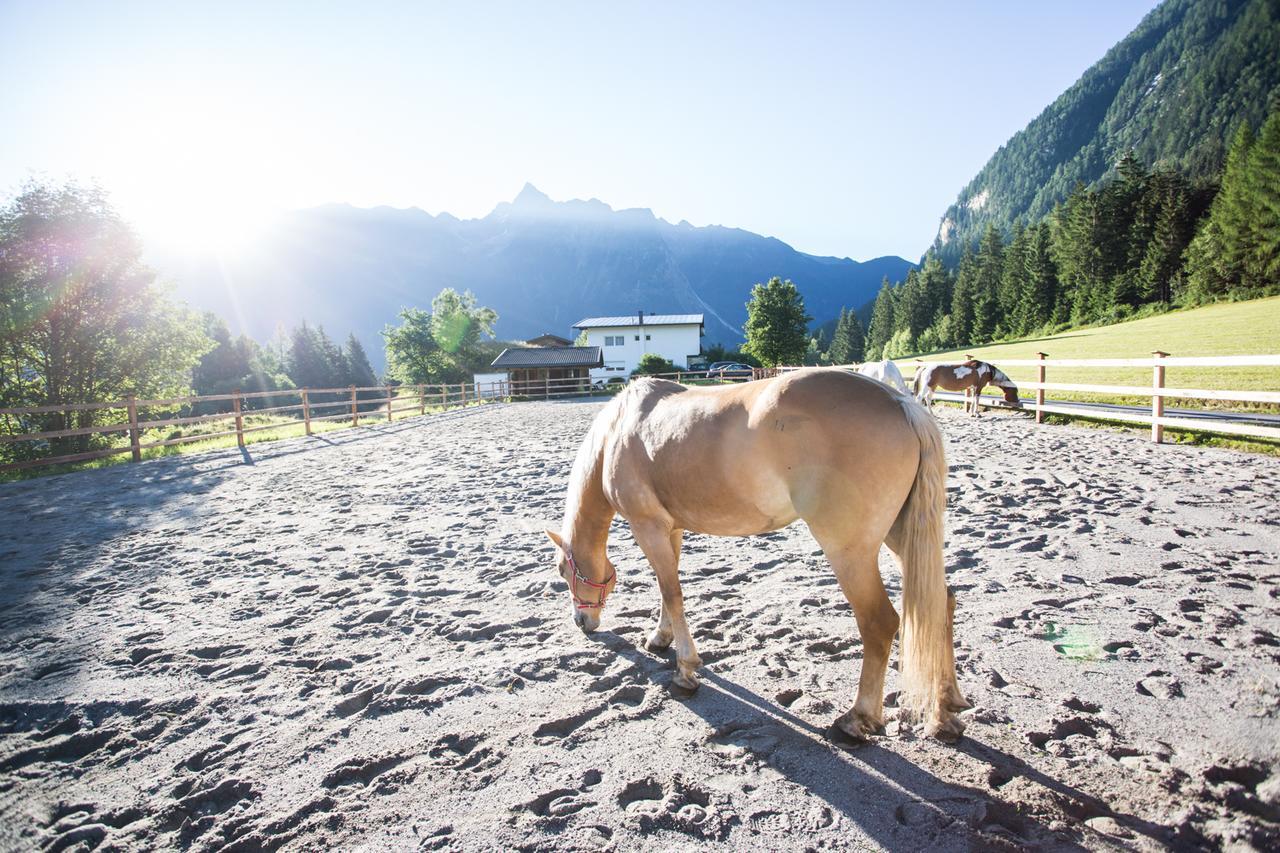 Ferienhaus Oetztal 호텔 소우텐즈 외부 사진